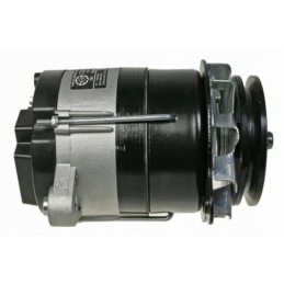 kintamosios srovės generatorius mtz belarus t25 ltz 12v 50a 700w rusiškas