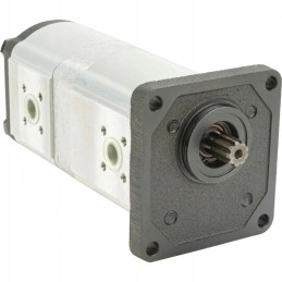 Granito dvigubas siurblys 25902002