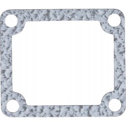 mf termostato tarpiklis