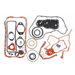 Visas variklio tarpiklių komplektas dol ent000517