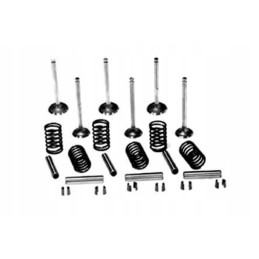 Vpa6003 įsiurbimo vožtuvų ir spyruoklių komplektas