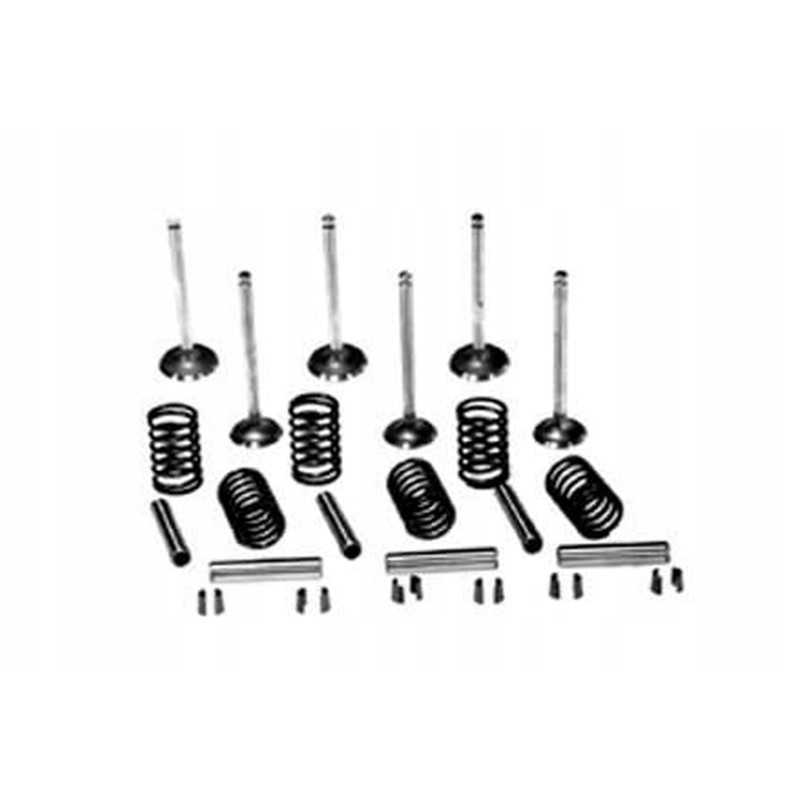 Vpa6002 įsiurbimo vožtuvų ir spyruoklių komplektas