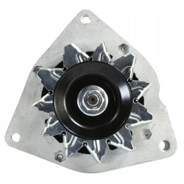 kintamosios srovės generatorius 14v 72a c 330 50027970 magneto galia