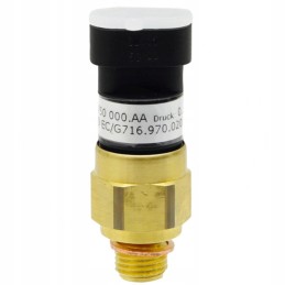Variklio slėgio jutiklis 60760101