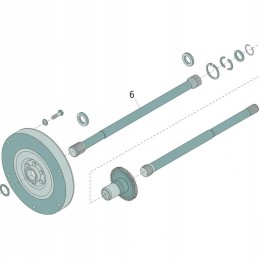 Sankabos disko pavaros velenas 70806467