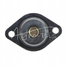 mf3 salono pagalvėlė