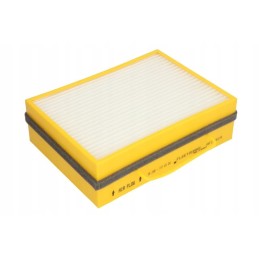 Fleetguard AF25829 salono filtras