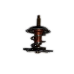 Deutz Fahr Agrotron variklio termostatas