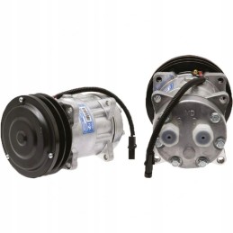 Oro kondicionieriaus kompresorius 65202002