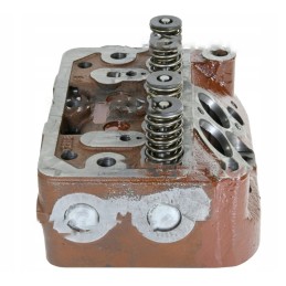 Sukomplektuota variklio galvutė, skirta c 330 42022020 chelmn