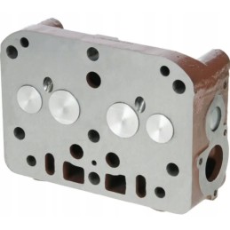 Sukomplektuota variklio galvutė, skirta c 330 42022020 chelmn