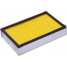 Salono filtras AP9171