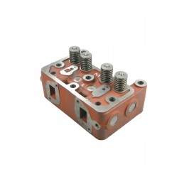 Variklio galvutės komplektas su vožtuvais c 330m 42023030