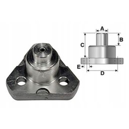 Vpj7976 karališkasis kaištis