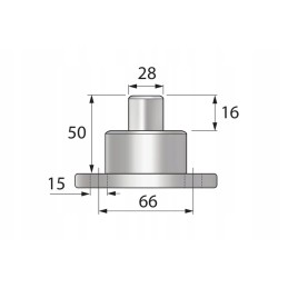Vpj7976 karališkasis kaištis