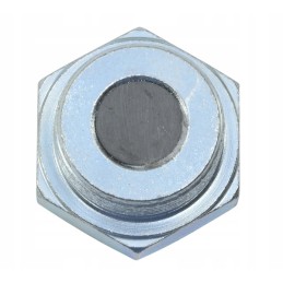 Alyvos išleidimo kaištis m30x1 5 c360c330