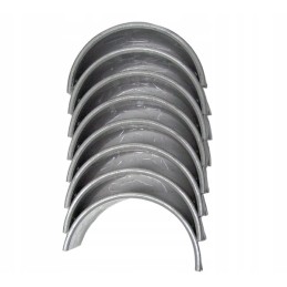 Švaistiklio guolių komplektas n100, 4 grind c360