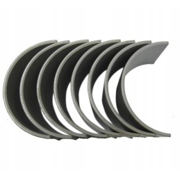 Švaistiklio guolių komplektas n025, 1 pjūvis c360