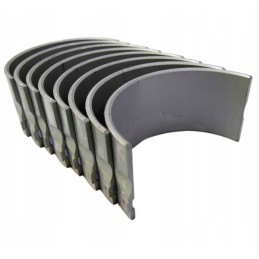 Švaistiklio guolių komplektas n025, 1 pjūvis c360