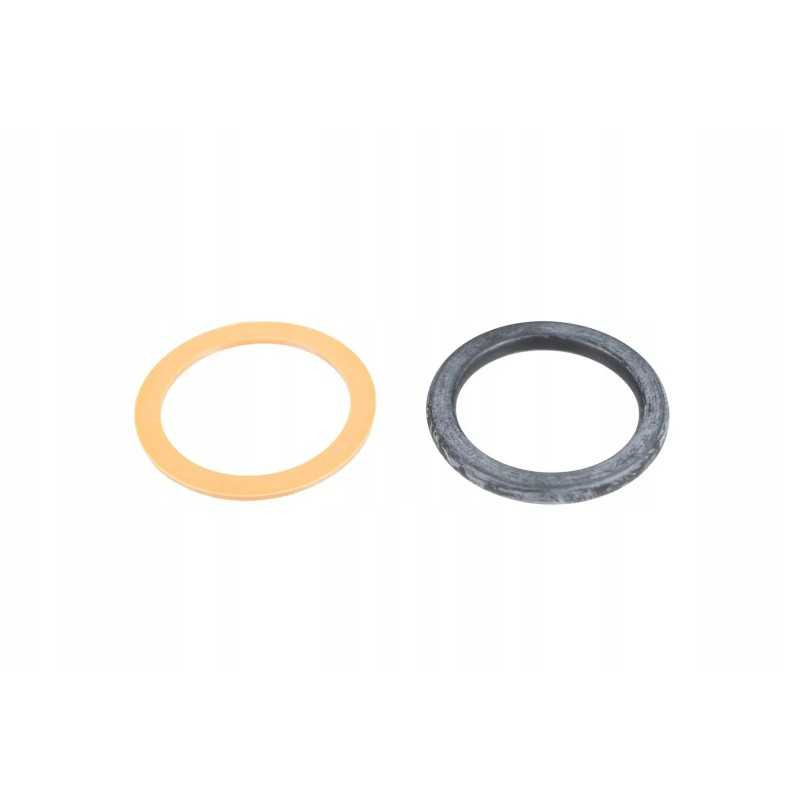 F931962020290 hidrauliniai sėdynių sandarikliai