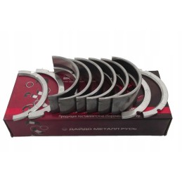 Wladimirec pagrindinių guolių komplektas t 25 p1