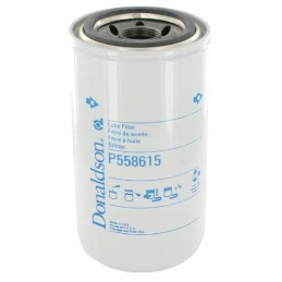 Alyvos filtras p558615