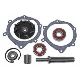 Vpe2074 vandens siurblio remonto komplektas