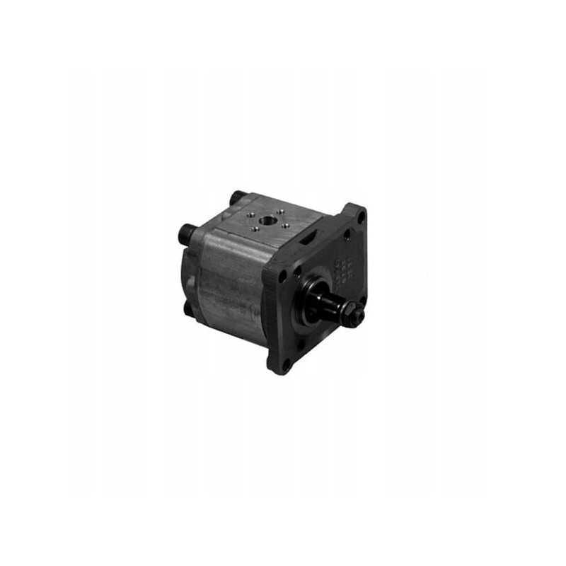 Vpk1005 garų hidraulinis siurblys