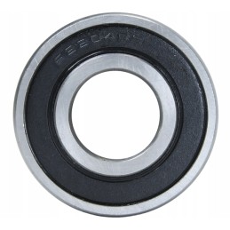 Ventiliatoriaus guolis wladimirec t 25a 622042rs