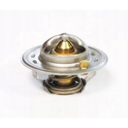 Termostatas David Brown k208039 k917962