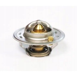 Termostatas David Brown k208039 k917962