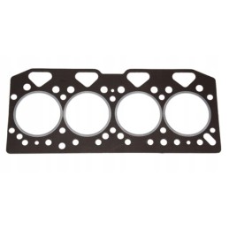 Galvos tarpiklis 3641865m1 perkins