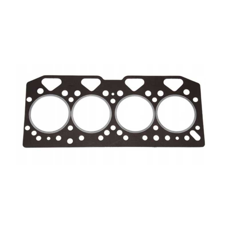 Galvos tarpiklis 3641865m1 perkins