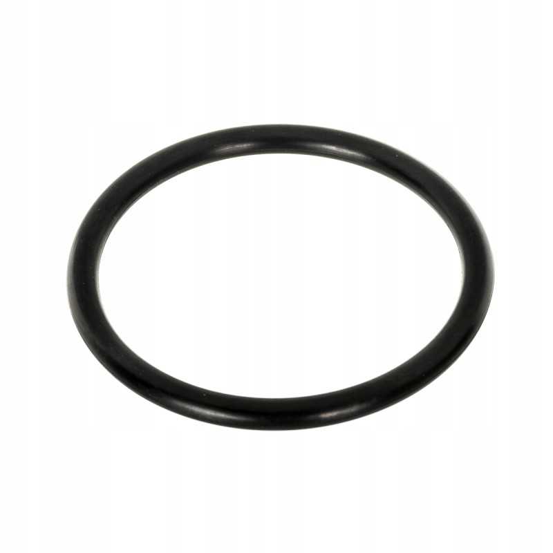 O-žiedo keltuvo kovos 66x6 korpusas 3220176r1