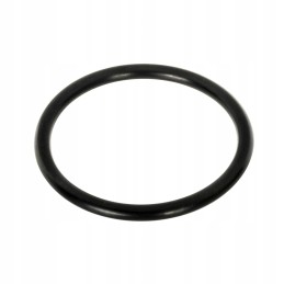 O-žiedo keltuvo kovos 66x6 korpusas 3220176r1