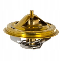 Termostatas Zetor Proxima TV 165 78