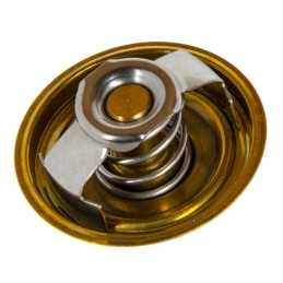 Termostatas Zetor Proxima TV 165 78