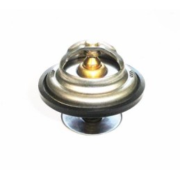 Termostatas Zetor Proxima TV 165 78