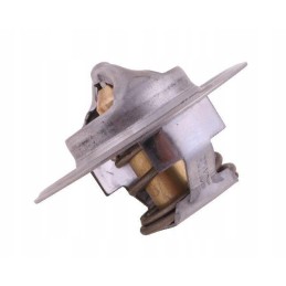 Termostatas at22963 john deere polmo