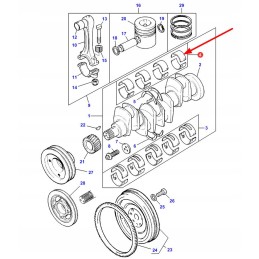 3637793z91 švaistiklio guoliai 0 50 mm