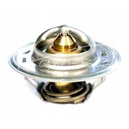 Ford termostatas 83916917