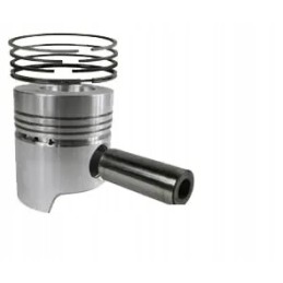 Variklio stūmoklio renulatas tas pats 003800616