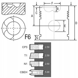 Variklio stūmoklio renulatas tas pats 003800616