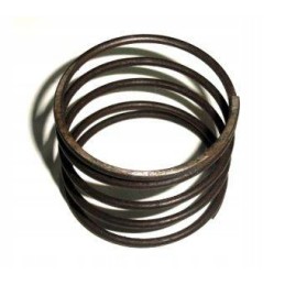 Užpildo spyruoklė c 360 950204