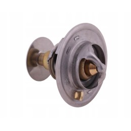 Termostatas 2485613 Landini Polmo