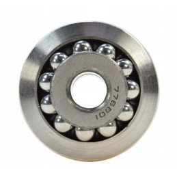 Vairo kolonėlės guolis t 25 38160 7768