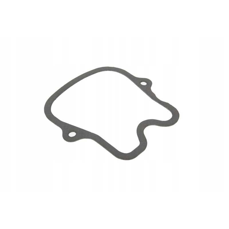 1601151 vožtuvo dangtelio tarpinė