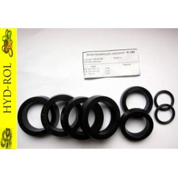 Dvigubo cilindro sandarikliai nujn 100 k 120