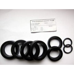 Dvigubo cilindro sandarikliai nujn 100 k 120