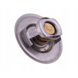 Termostatas 83913835 Ford Polmo